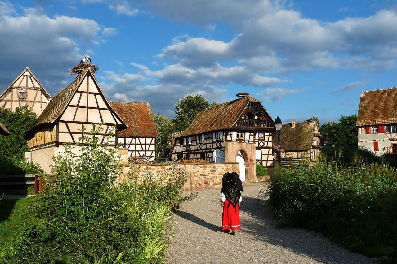 Apartmán Chez Christian Breitenbach-Haut-Rhin Exteriér fotografie